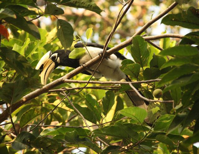 不输马代的柬埔寨songsaa情人岛现在有特别优惠