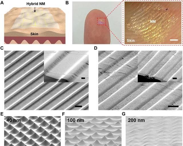 新型透明导电纳米薄膜:能在皮肤上播放音乐!