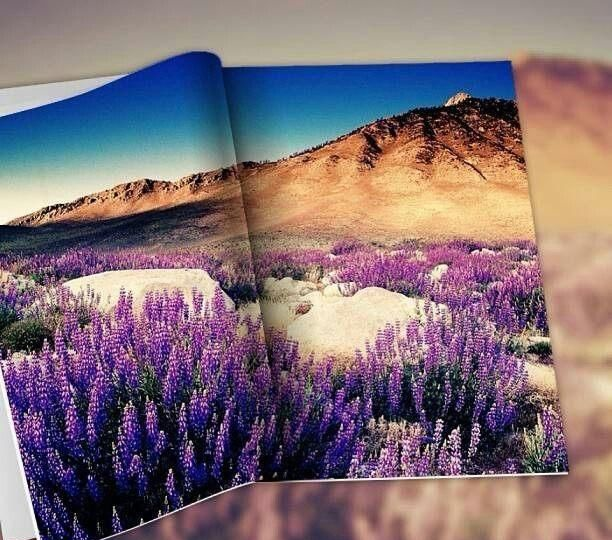 表示生活充实的句子语录,送给正在奋斗的你!|生命|人生|画板|心灵|旅途_新浪新闻