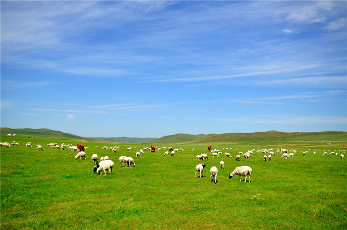 巴彦淖尔:日落之前,大声说爱|乌兰布和沙漠|镜湖|草原_新浪新闻