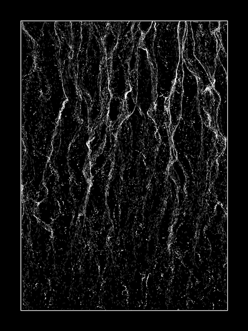 500_667竖版 竖屏gif 动态图 动图