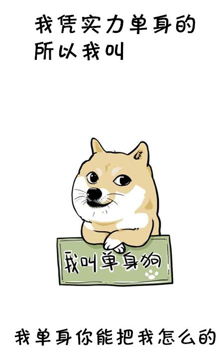 我凭实力叫单身狗有些话有必要说一说