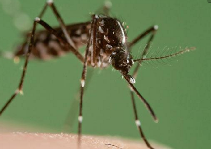 厕所里挂个一次性口罩,没想到作用这么大,看完我也赶紧挂一个!