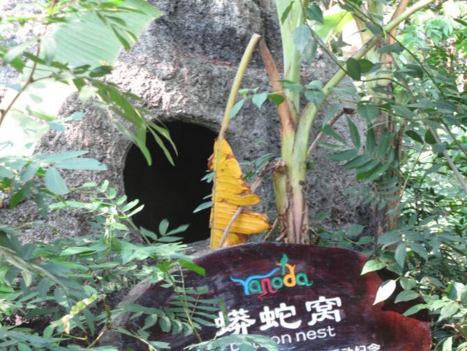 这是蟒蛇洞景色美美空气清新很多游客把心愿写在心愿牌挂在幸福天道上