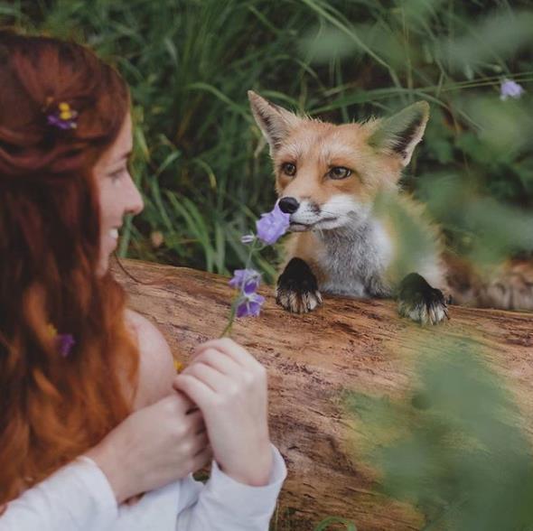 俄罗斯摄影师,用镜头"讲述"童话故事:人和动物的美好和谐