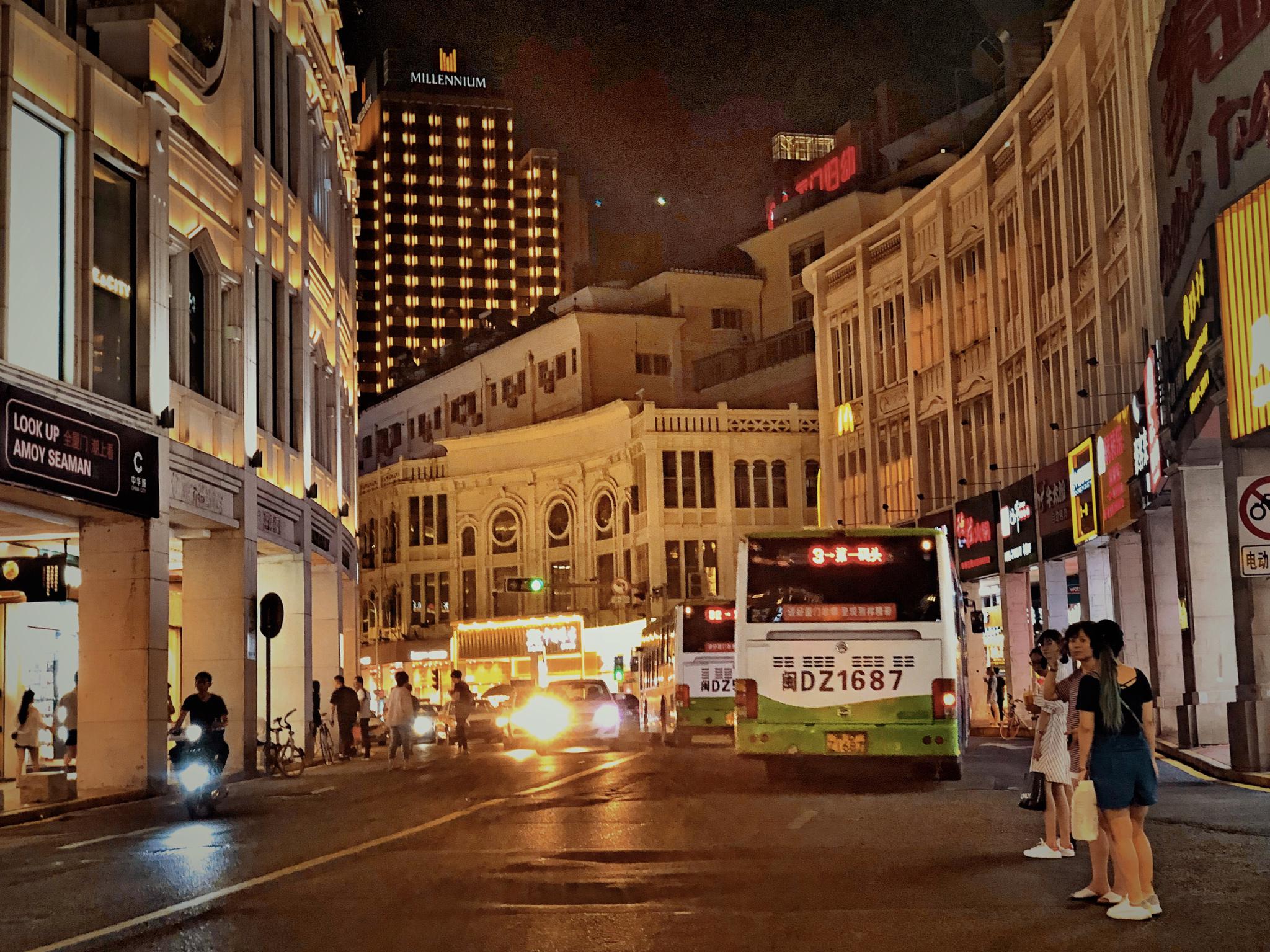 我忽然想起那一日,在厦门的街头,圆月高挂,夜灯辉煌