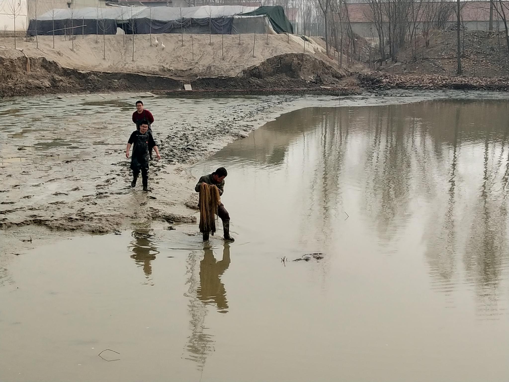 农村小伙在河里捞鱼一条条大鱼陆续上岸让人羡慕不已