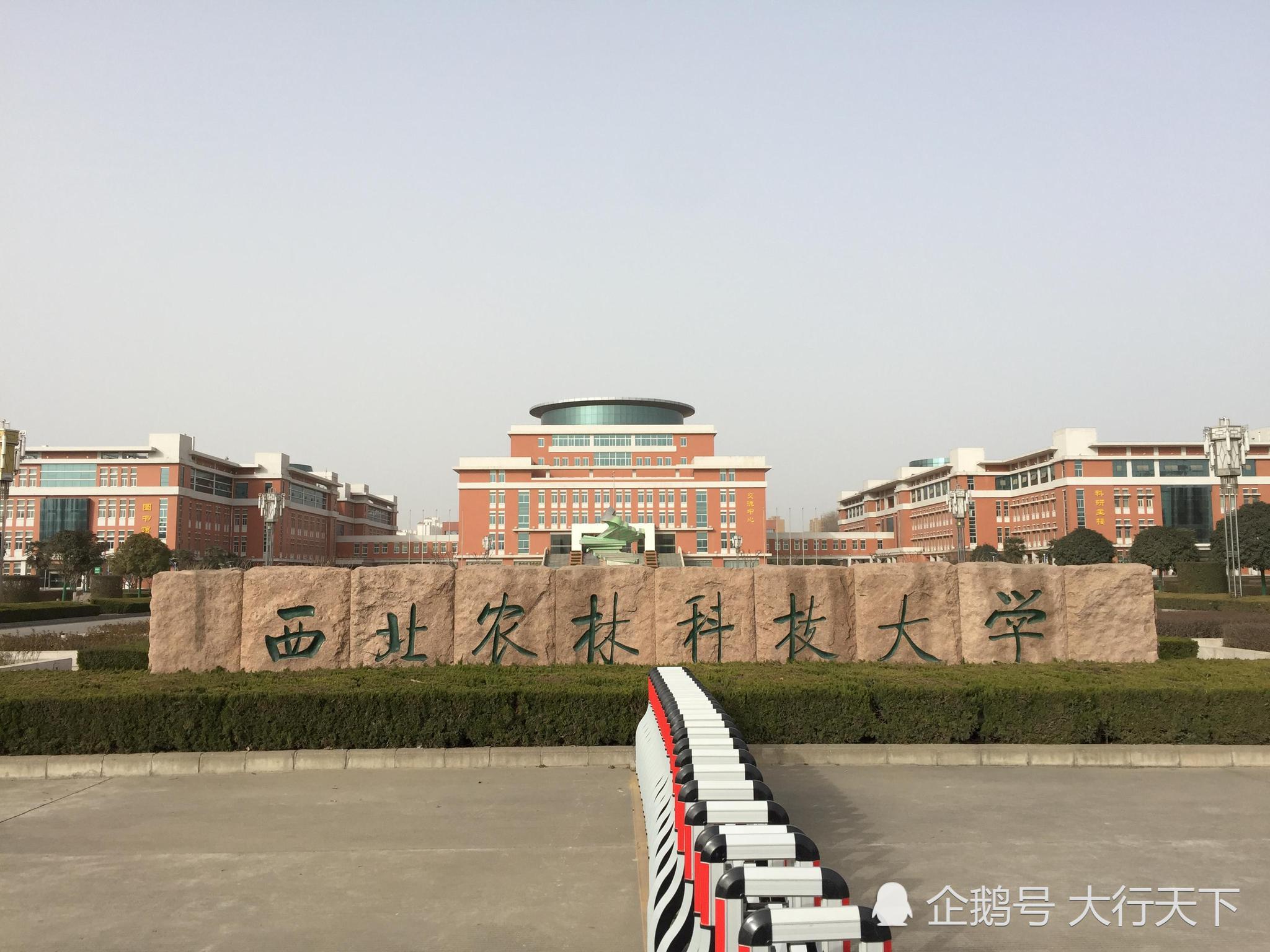 清华,厦大,湖南大学等14校18年高招政策解读|本科|清华大学|招生_新浪