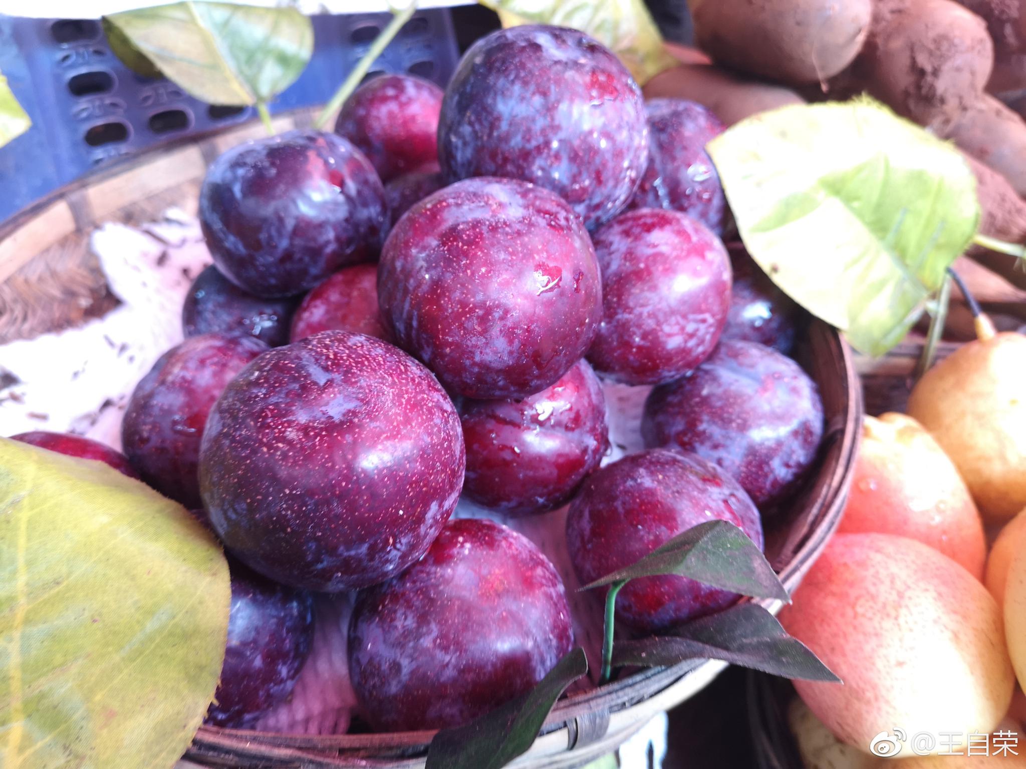 大理古城苍山脚下的水果摊