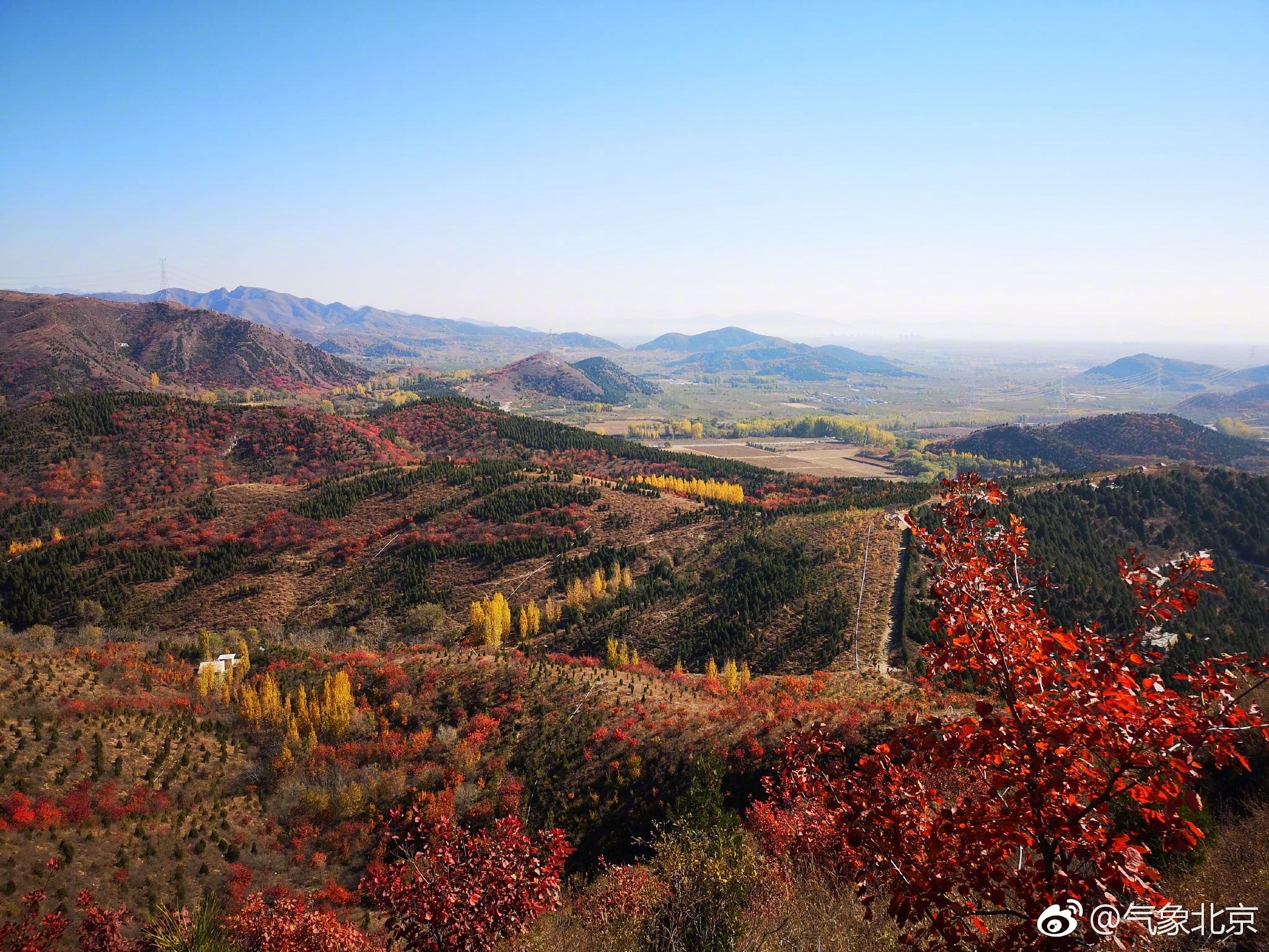 杨保华摄于顺义舞彩浅山,红枫似火照山中,秋景瑰艳!