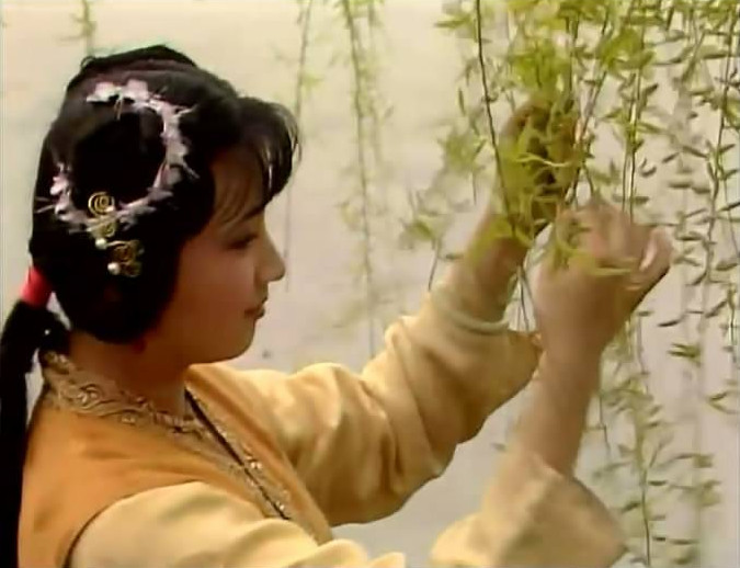 关于这俩人的事,在红楼梦第五十八到六十回中交代的很清楚,春燕是宝玉