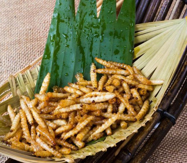 又名"木花"(它又是天牛的幼虫,学名:蝤蛴)