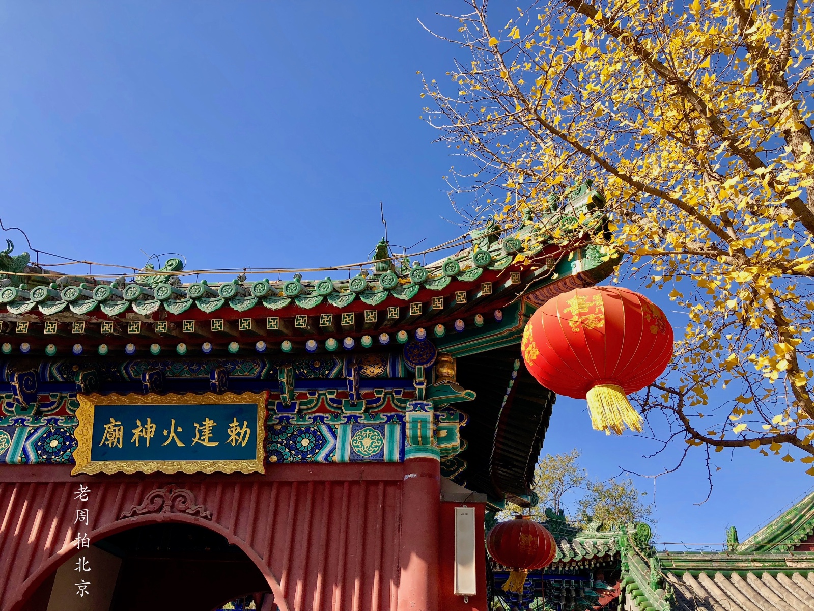 谢谢太阳:是你使金黄色银杏树如此艳丽通透,北京什刹海景区