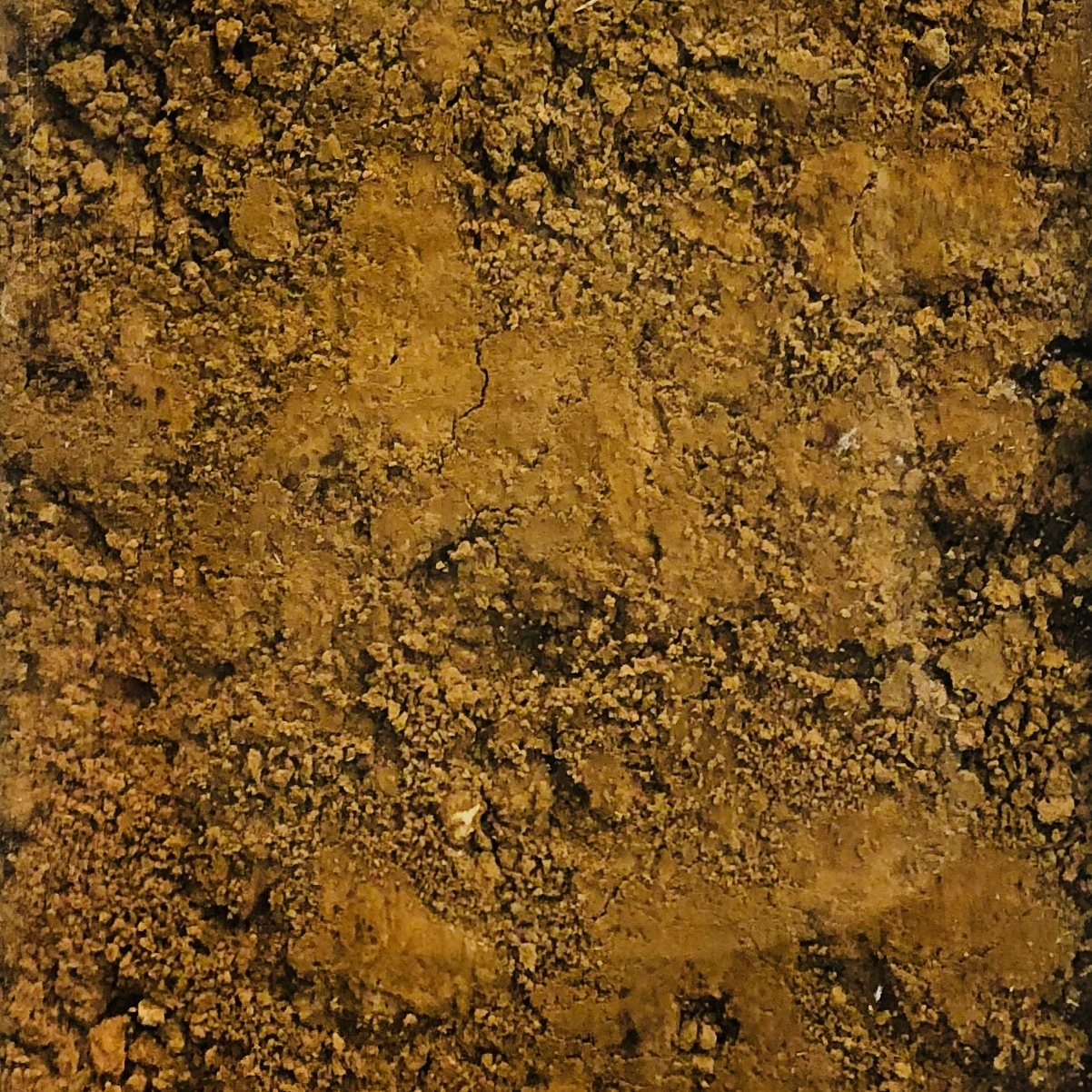 陆地上的各种土壤