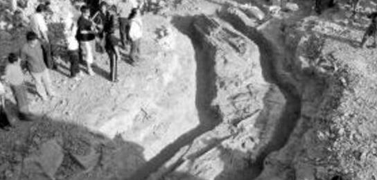 1944年松花江坠龙事件真相,蛟龙渡劫失败惨变