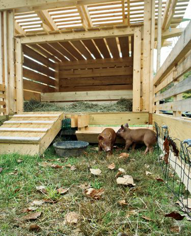 原创建造一个小型猪栏家养几条土猪好吃又好看
