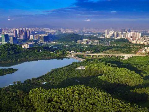 副书记在全市农村人居环境整治工作现场调度会上的讲话