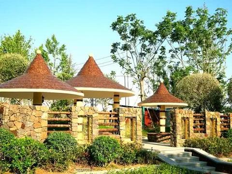 网红李子柒的生活真的有那么简单吗?你能做的到吗?