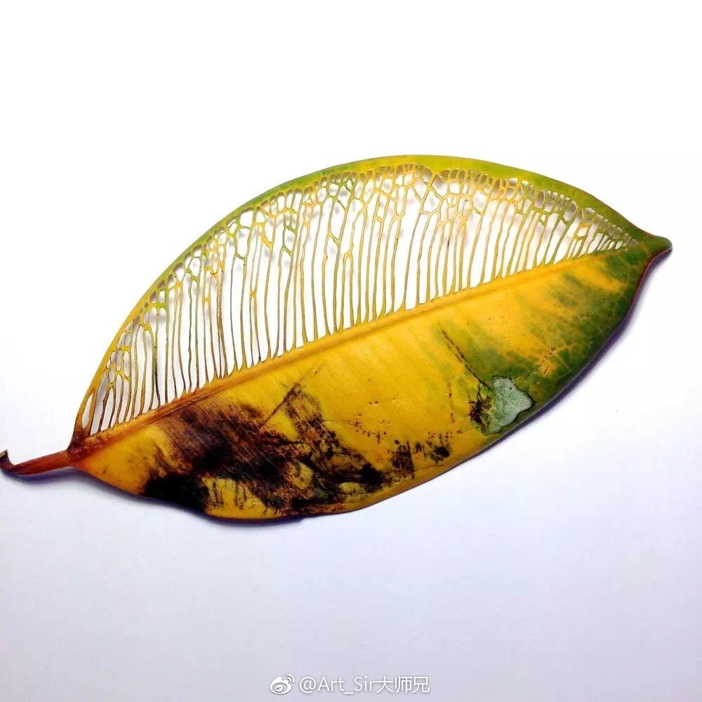 叶雕|艺术家hillary waters fayle