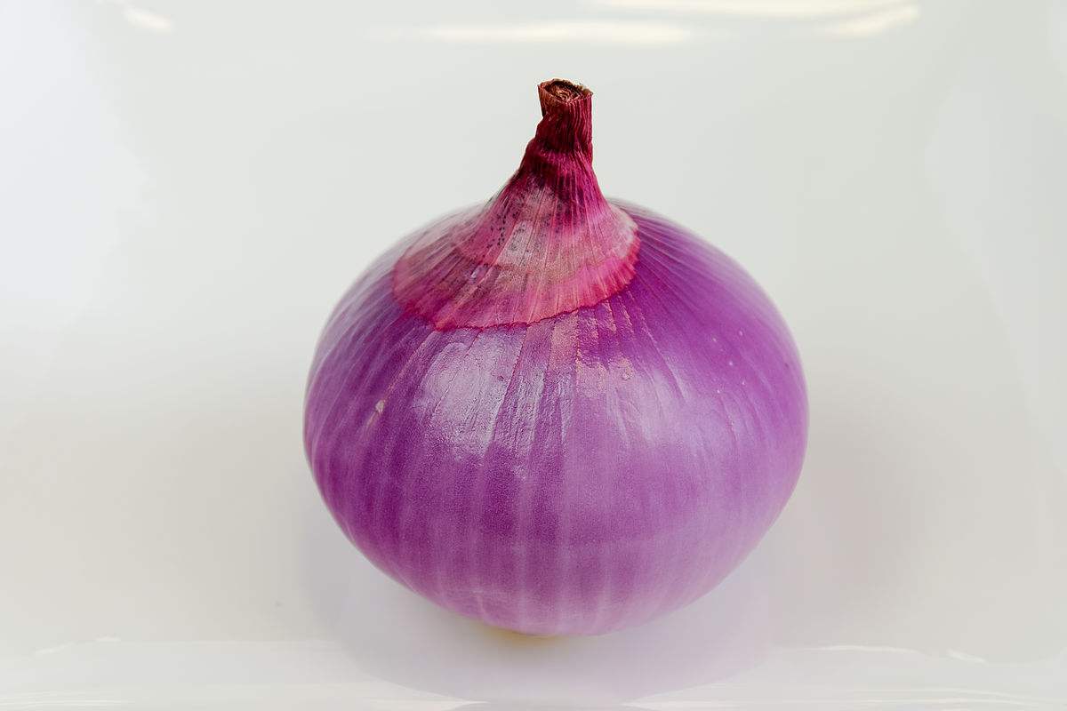 洋葱"紫皮"好还是"白皮"好?原来差距在这,看完涨知识了