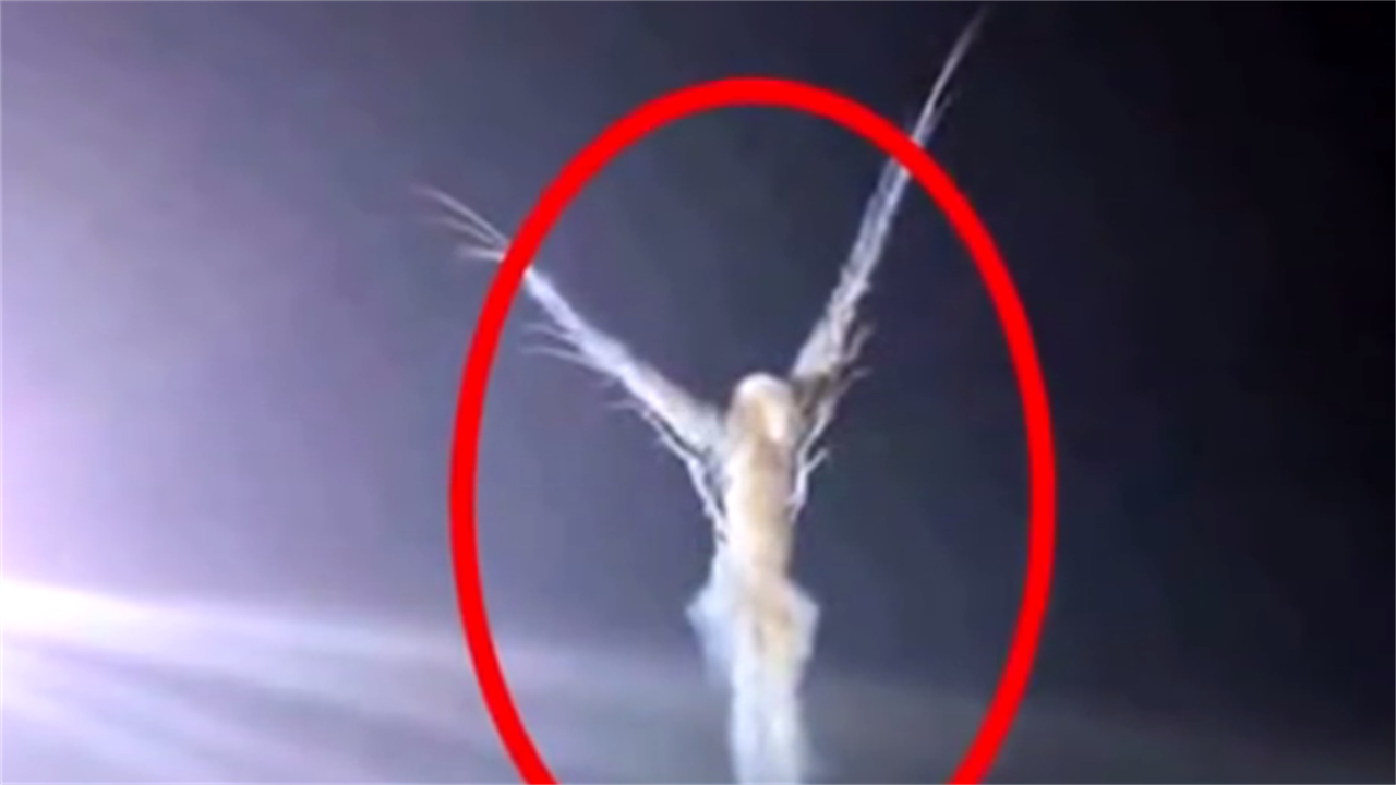 监控意外拍到离奇事件,"天使"降临,科学家都无法解开这个迷