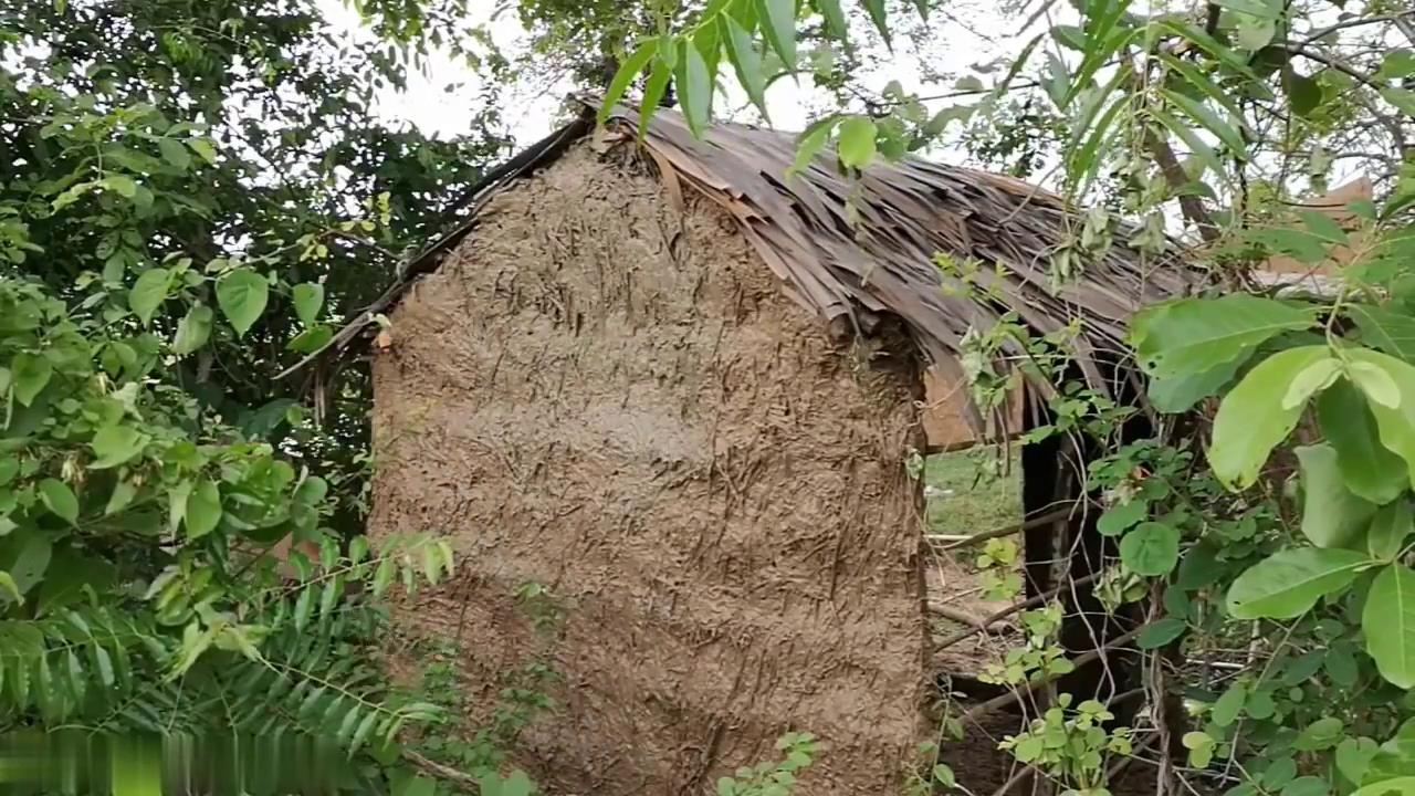 这是用泥巴和草糊的一面墙