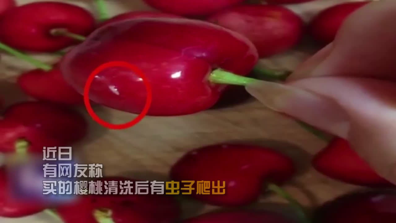 京视频 【网传樱桃爬出蛆?