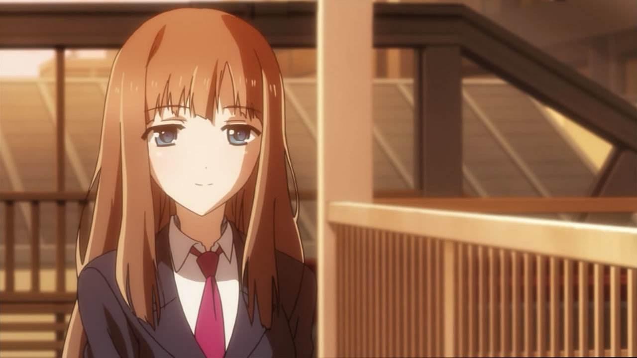 人不如兽,"生不如加速猪,死不如剪刀狗"动物也能走后宫路线