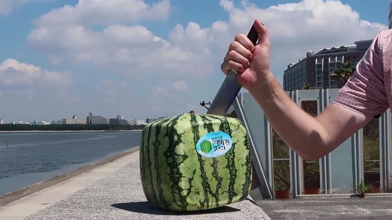 日本天价西瓜:100块买不到1片,切开后才让人无语!
