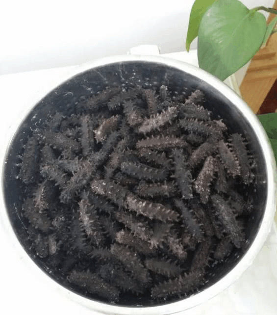 山东蓬莱旅游海岛,却因为人口流失严重,而逐渐