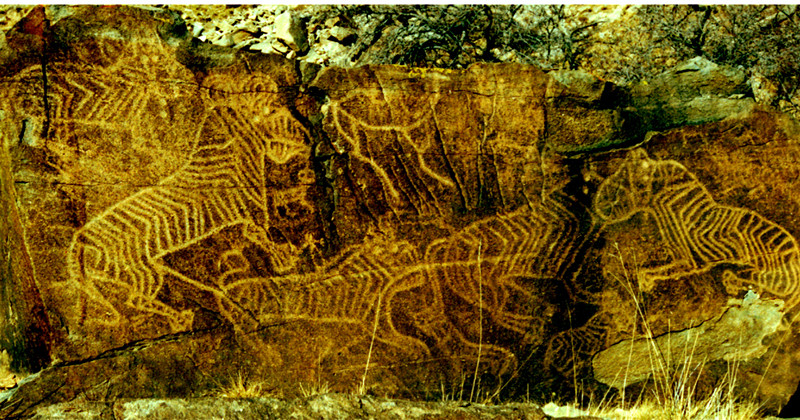 石头上的历史书——阴山岩刻