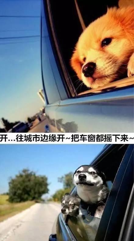 我哈总就是不走寻常路!