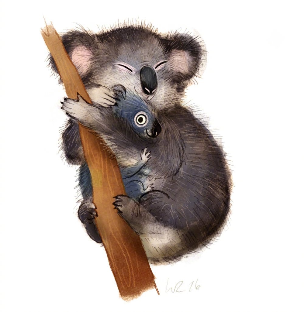 来自插画师wiebke rauers笔下的一组小动物