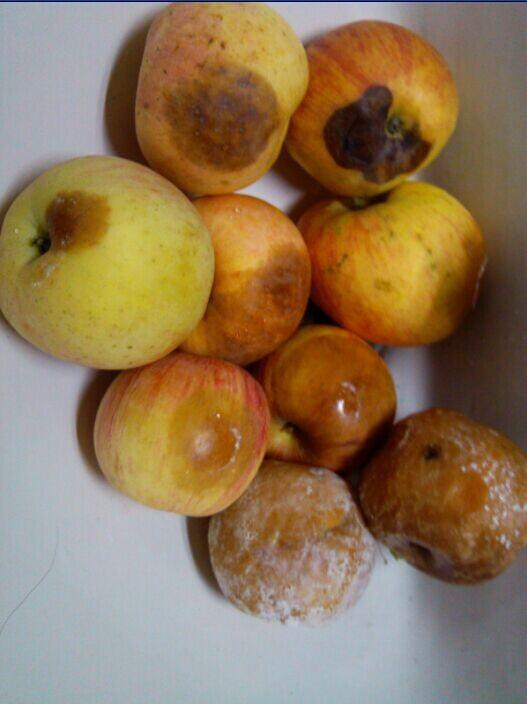 原因,就会腐烂一点,有的人觉得扔了可惜,就会用水果刀去掉腐烂的部分