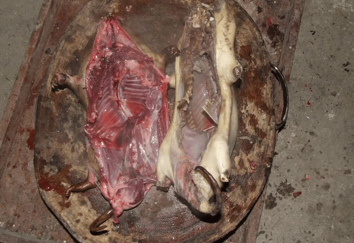 农村深山里的野味,看着不敢吃的我,最后竟然还吃的津津有味!