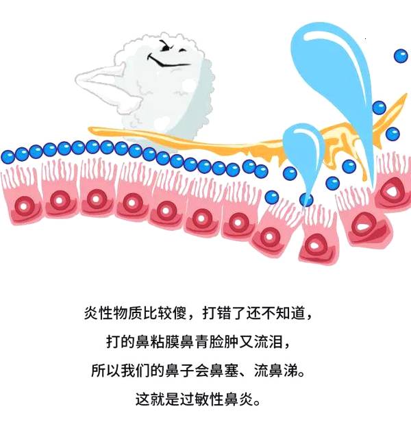 一个喷嚏里竟有85000000个病菌