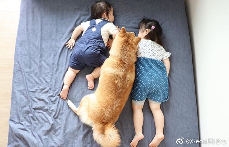 有狗狗陪伴着长大,真的很幸福哦!