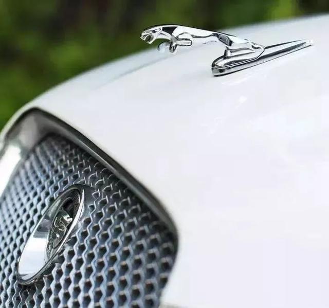 奔驰的三叉星,三十年代时由英国desmo为jaguar捷豹设计的跃豹等等