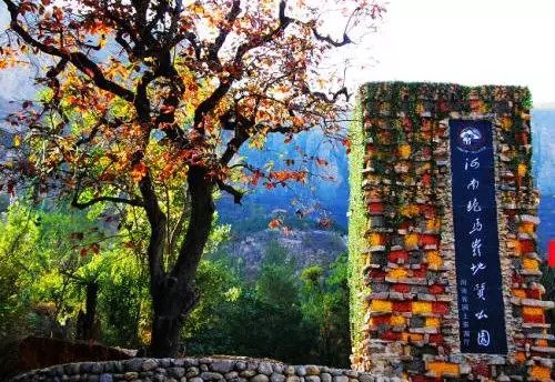 凤凰山|比干庙|新乡_新浪新闻