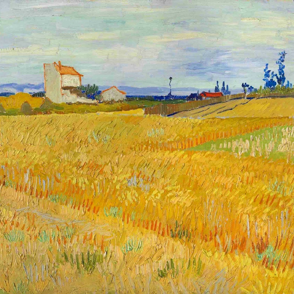 麦田里的守望者梵高