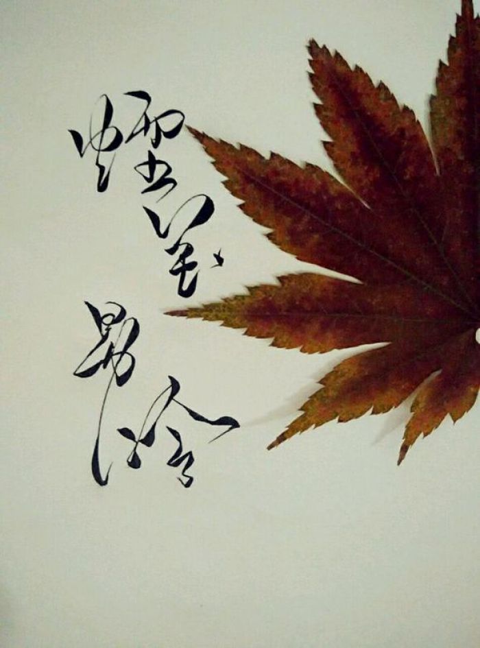 手写菊花体,好看!