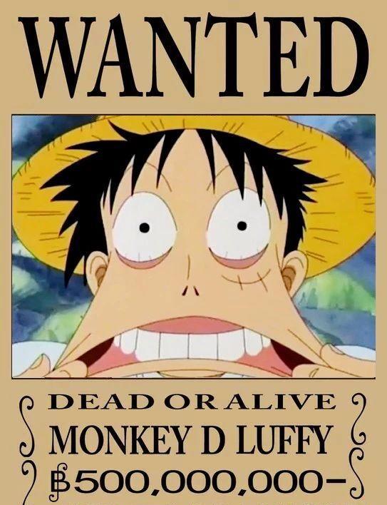 海贼王路飞15张五亿悬赏图看完之后笑喷