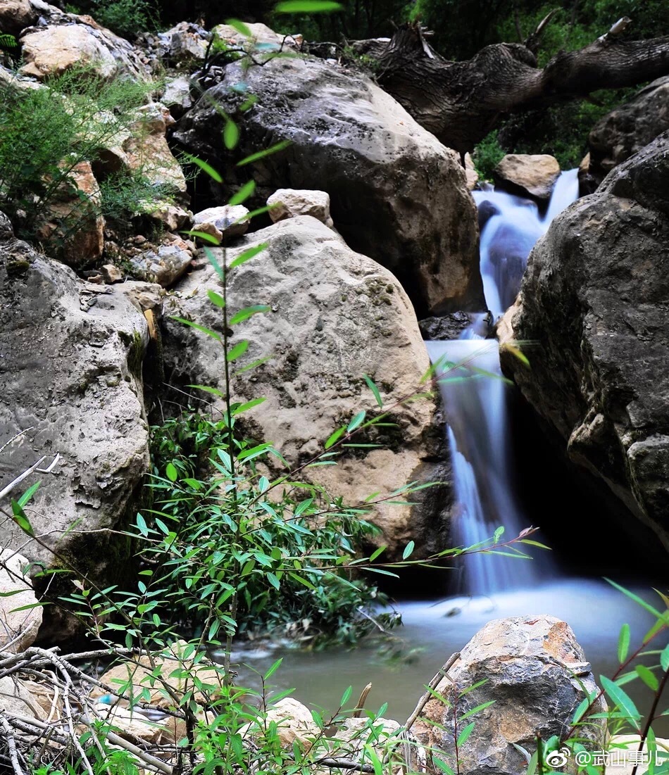 魅力武山 马力镇水胭脂沟