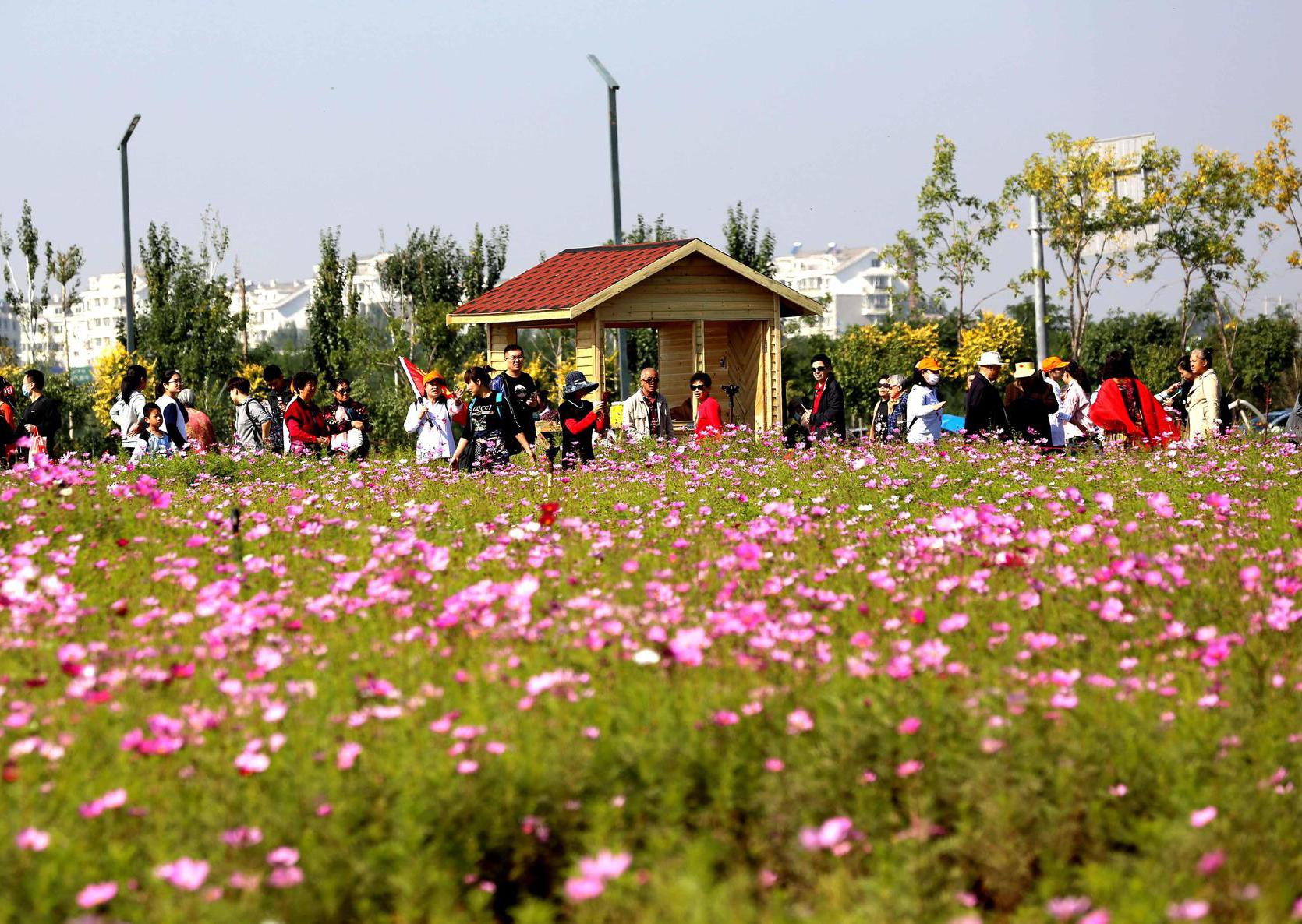 沈阳沈北新区在道义城市花海公园举办花海风筝秀