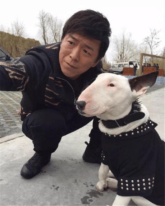 孙红雷向黄渤的攻击及黄渤的反击,简直是太有默契了太形象了.