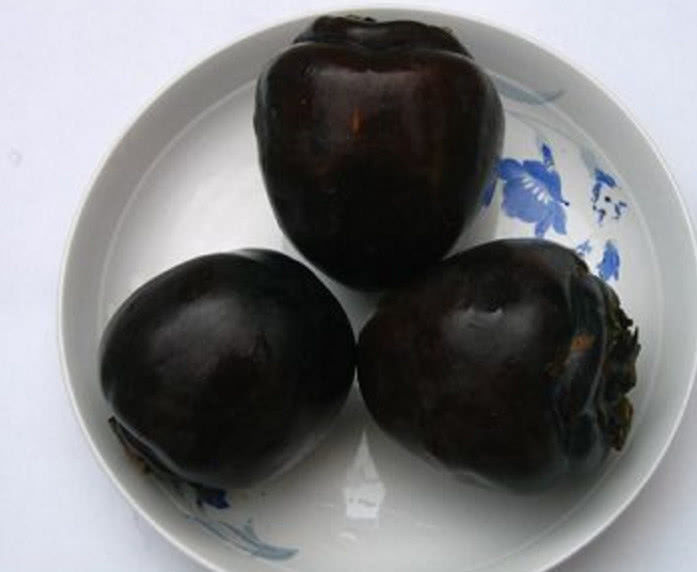 食用柿饼能调和胃肠,对于防治便秘和痔疮出血等症有一定的好处.