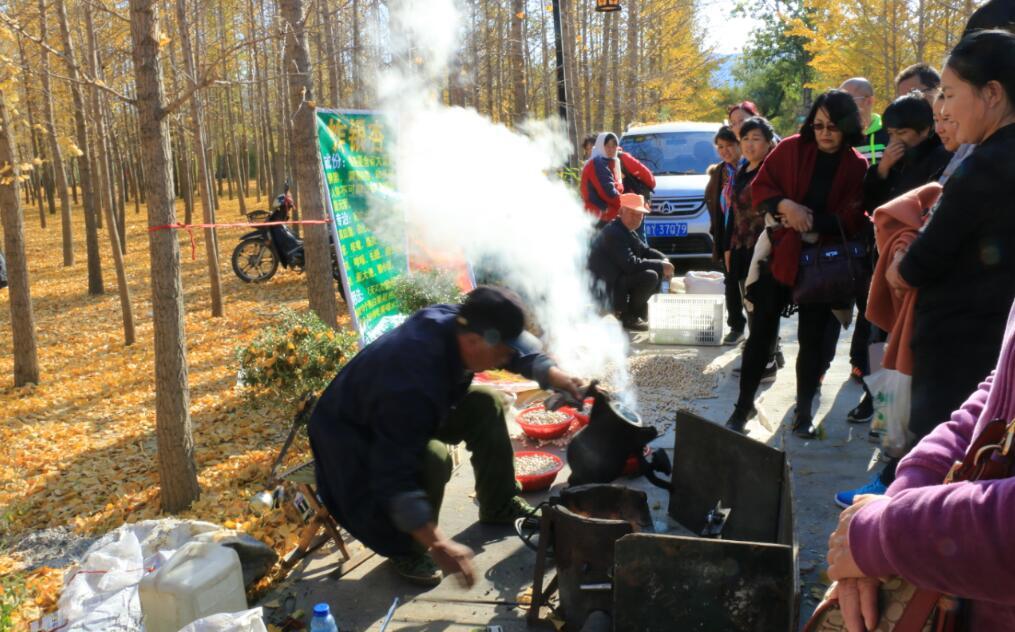 这里是鲁东山区的一个农村,这里有一大片银杏林,所以周末过来旅游的