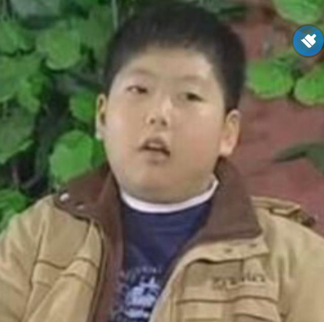 搜罗了情景喜剧演员半壁江山的《家有儿女初长成》你们看了吗?