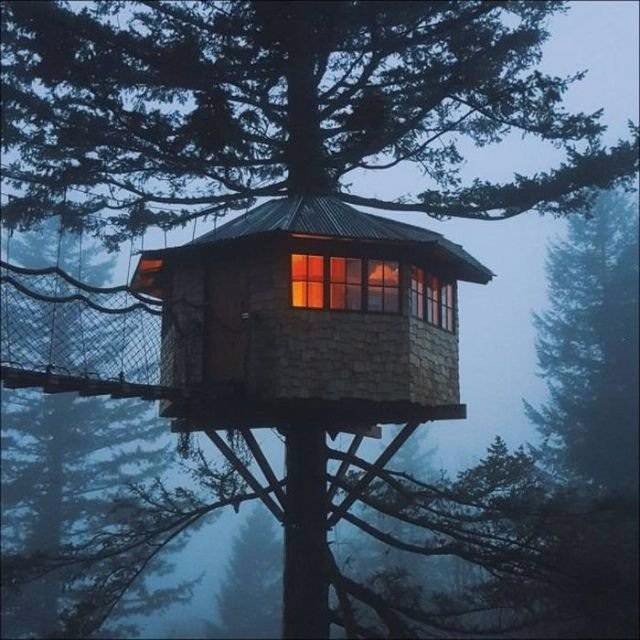 隐居住深山筑巢枝叶间