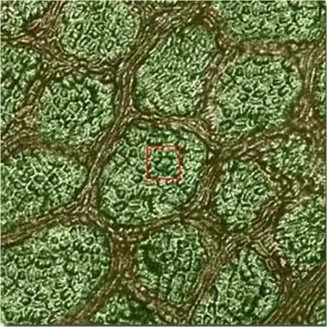 天狼星|微米|地球_新浪新闻